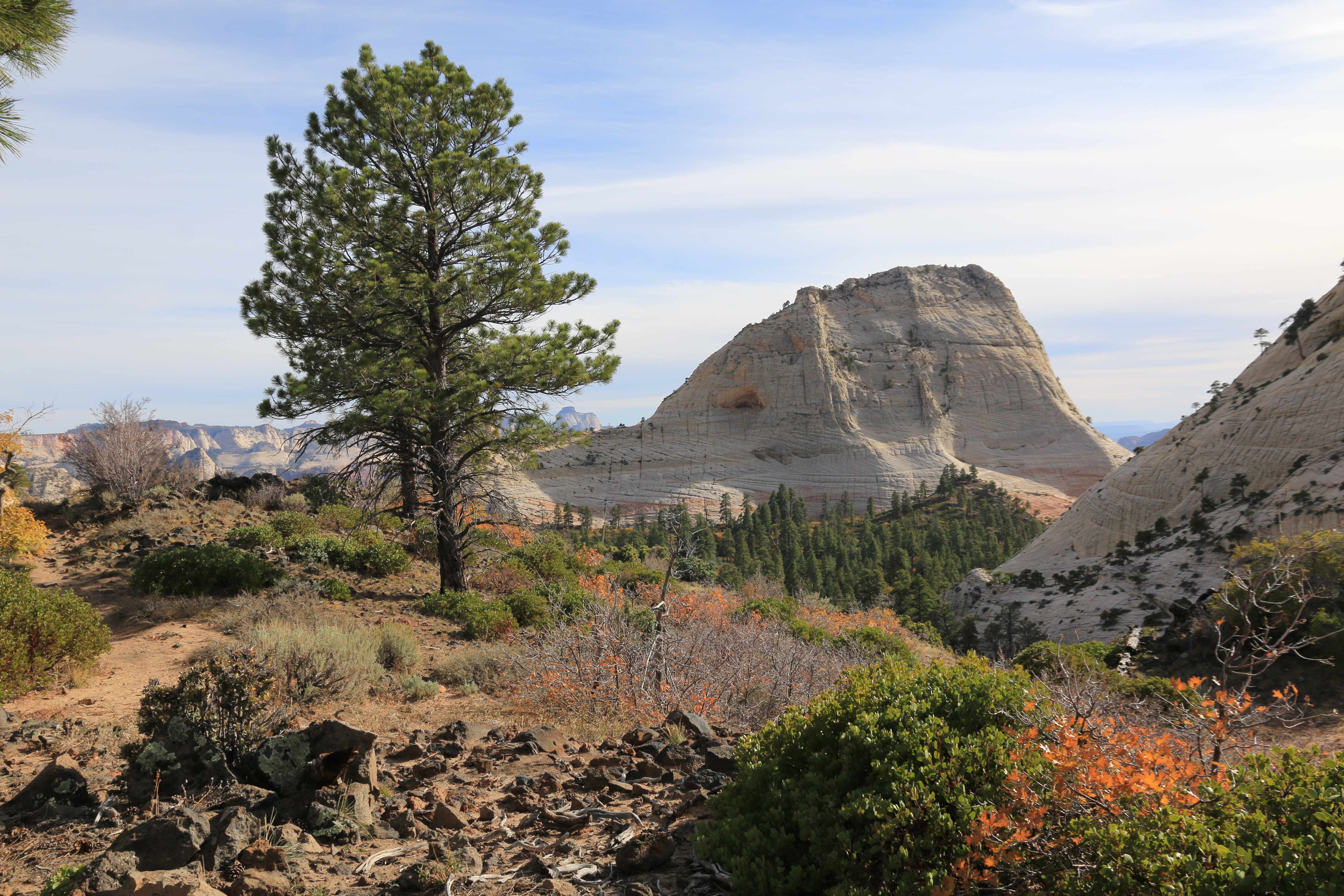 Zion NP